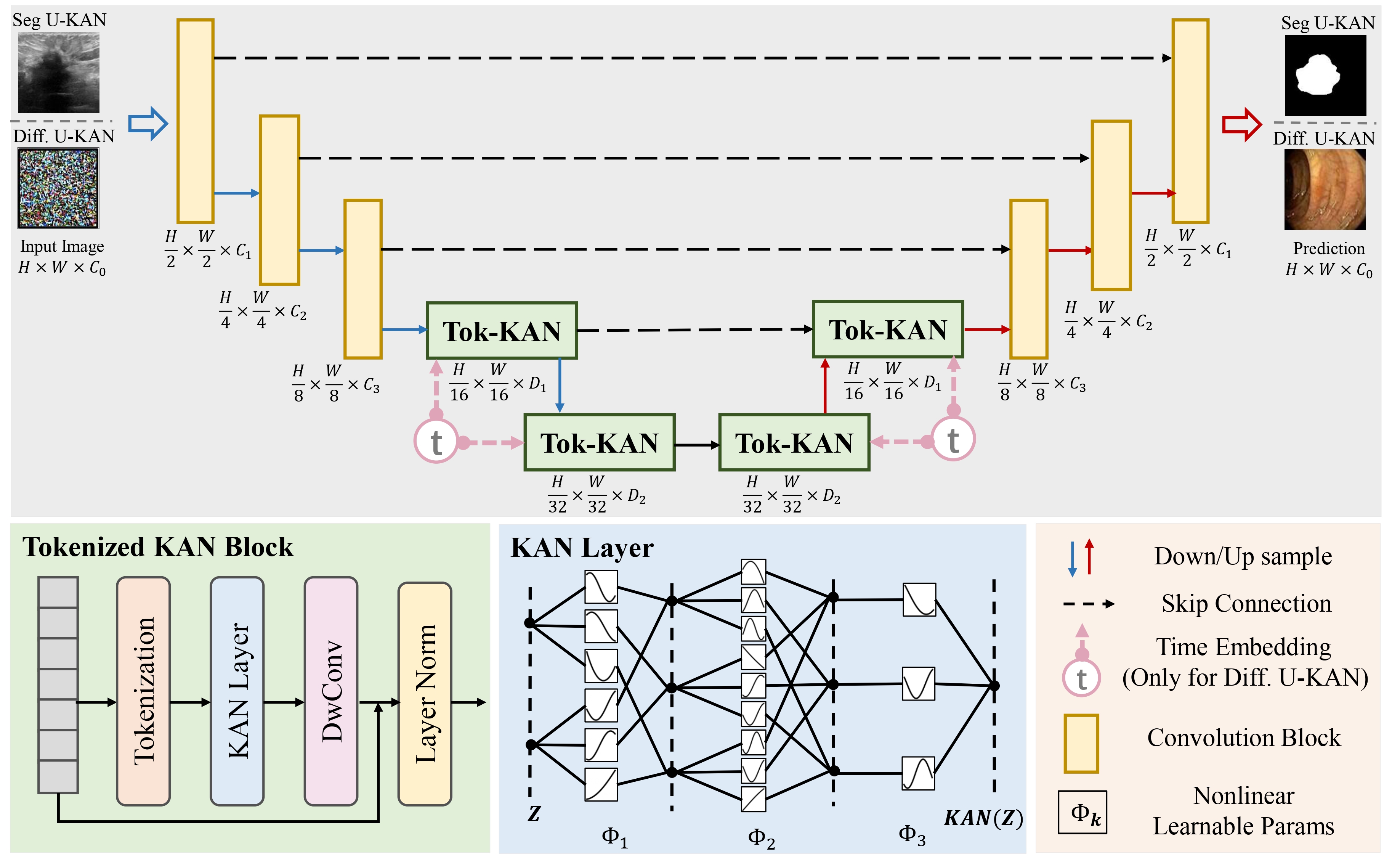 U-KAN Paper